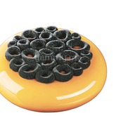 Moule Silicone Décor Coral Ø 13.5 cm "TOP09" (x2) - Pavoni